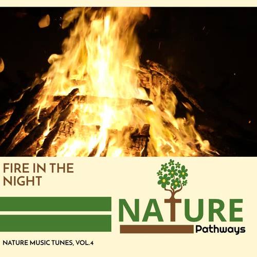 Fire in the Night - Nature Music Tunes, Vol.4