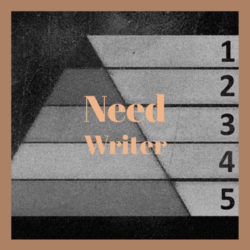 Need Writer