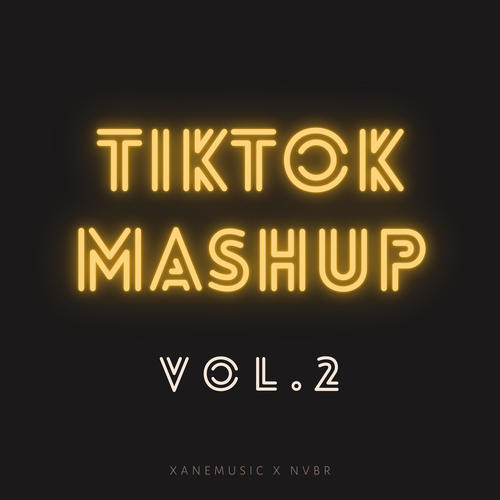 TikTok Mashup Vol. 2 (Remix)