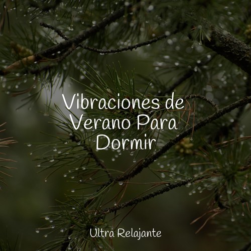 Vibraciones de Verano Para Dormir