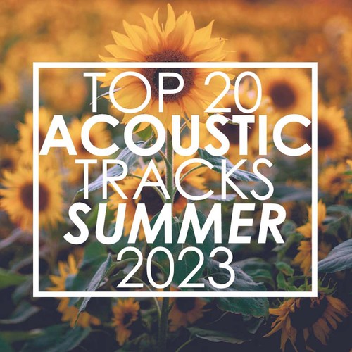 Top 20 Acoustic Tracks Summer 2023 (Instrumental)