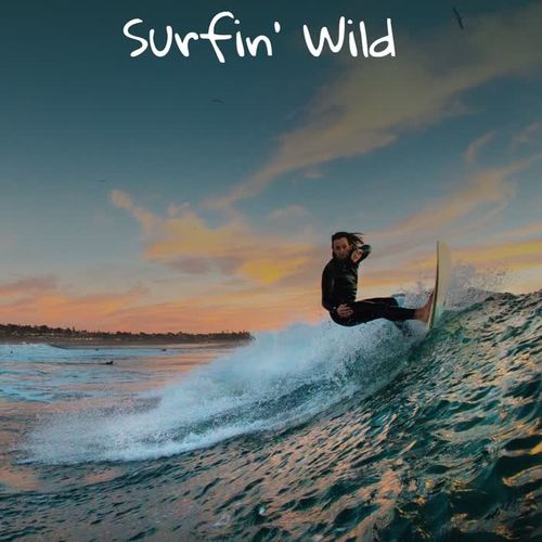 Surfin' Wild