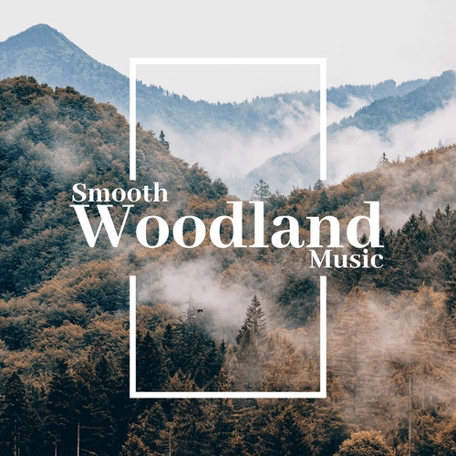 Smooth Woodland Music: Singing Birds, Howling Wind, Flowing Brook, Rainfall