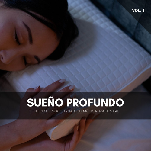 Sueño Profundo: Felicidad Nocturna Con Música Ambiental Vol. 1