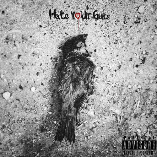 Hate Your Guts (Explicit)