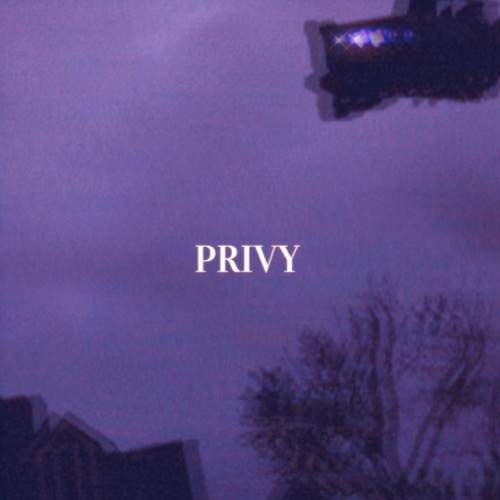 PRIVY (feat. Slab) [Explicit]