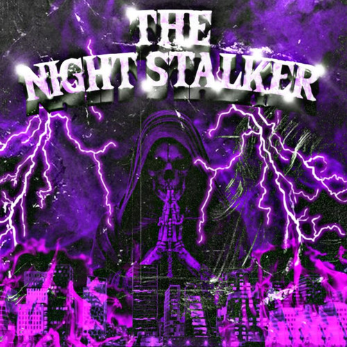 THE NIGHT STALKER