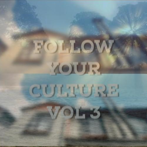 FOLLOW YOUR CULTURE VOL 3