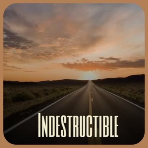 Indestructible