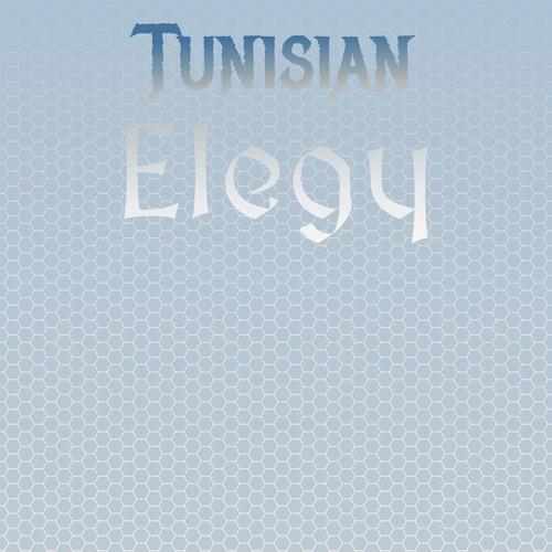 Tunisian Elegy