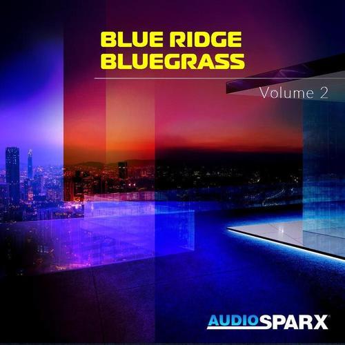 Blue Ridge Bluegrass Volume 2