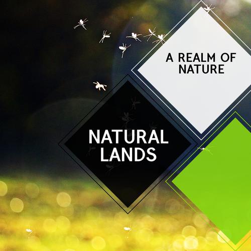 Natural Lands - A Realm of Nature