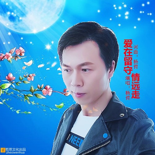 杨哲原创暖心情歌1