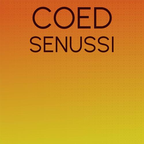 Coed Senussi