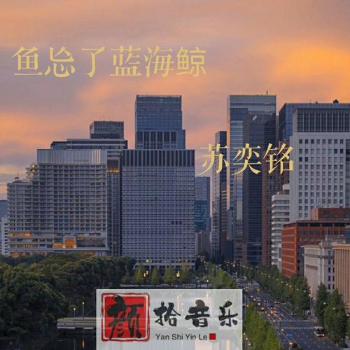 鱼忘了蓝海鲸