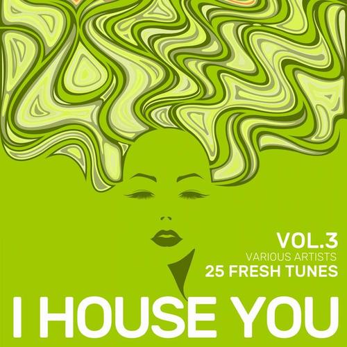 I House You (25 Fresh Tunes) , Vol. 3