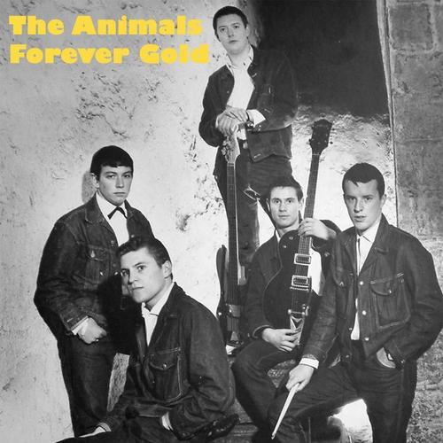 The Animals - Forever Gold