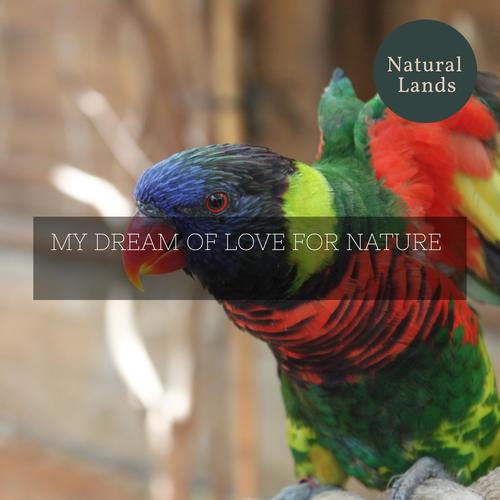 My Dream of Love for Nature