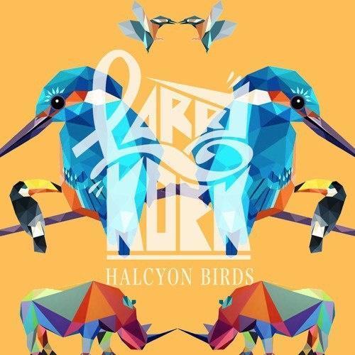 Halcyon Birds (LarryKoek Remix)