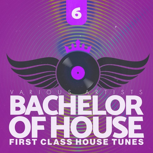 Bachelor of House, Vol. 6