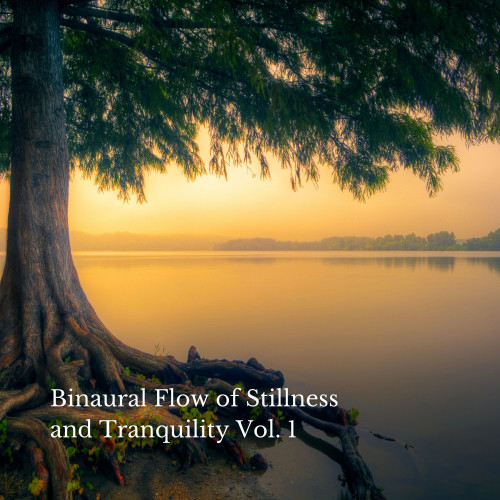 Binaural Flow of Stillness and Tranquility Vol. 1