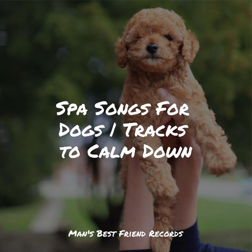 Spa Songs For Dogs | Tracks to Calm Down