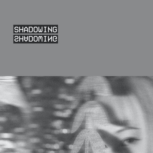 SHADOWING