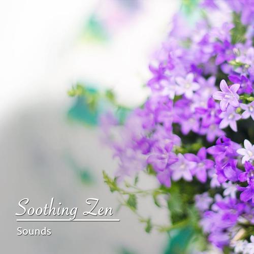 10 Sons zen calmantes para Mindfulness