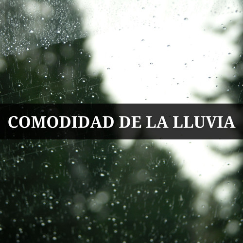 Comodidad De La Lluvia