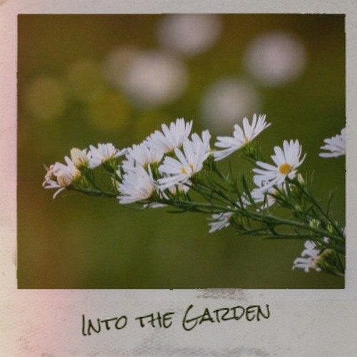 Into the Garden