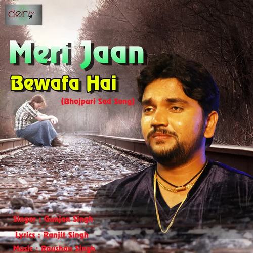 Meri Jaan Bewafa Hai