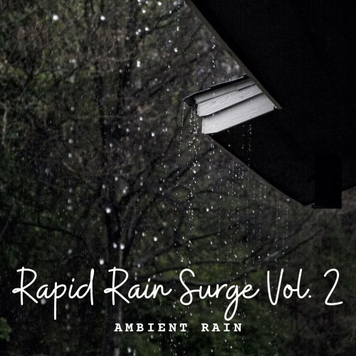 Ambient Rain: Rapid Rain Surge Vol. 2