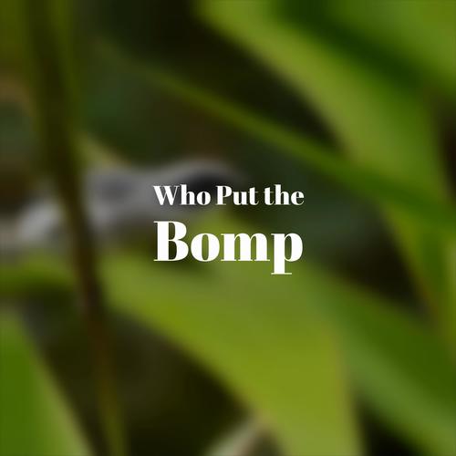 Who Put the Bomp