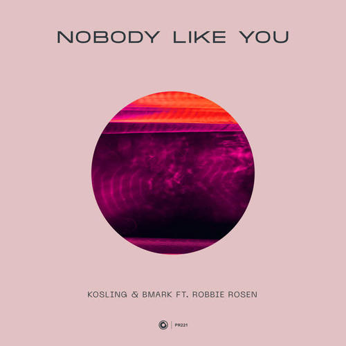 Nobody Like You