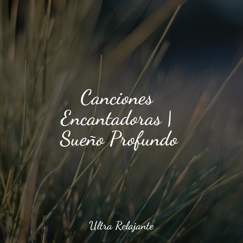 Canciones Encantadoras | Sueño Profundo