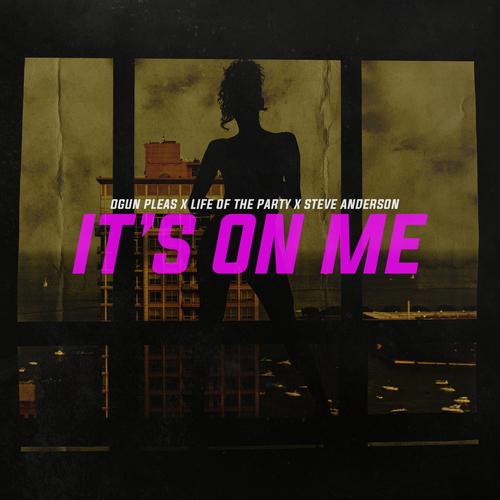 It's On Me (feat. Steve Anderson & Life Of The Party) [Explicit]
