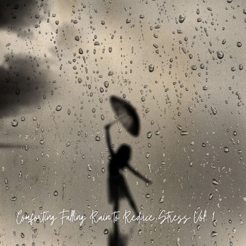 Comforting Falling Rain to Reduce Stress Vol. 1