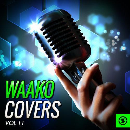 Waako Covers, Vol. 11