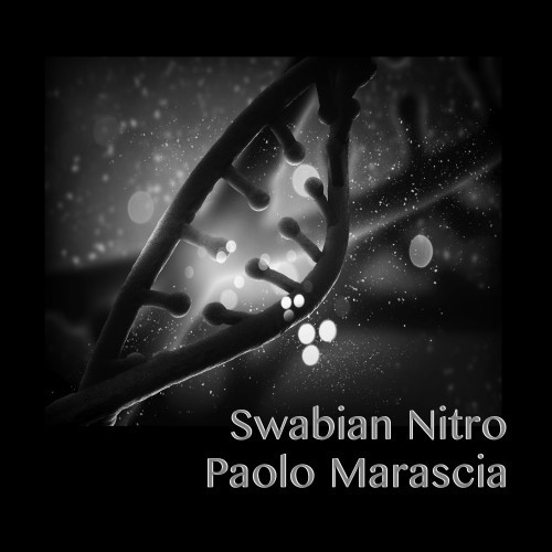 Swabian Nitro