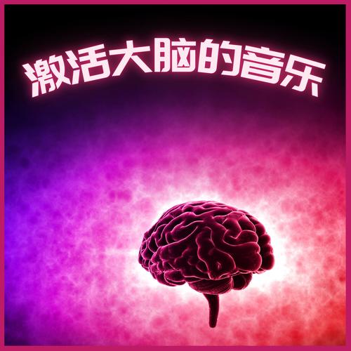 激活大脑的音乐 – 学习用的音乐，提升智力的歌曲，平静的频率