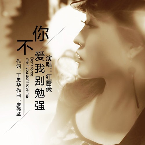 你不爱我别勉强