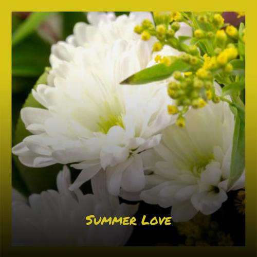 Summer Love