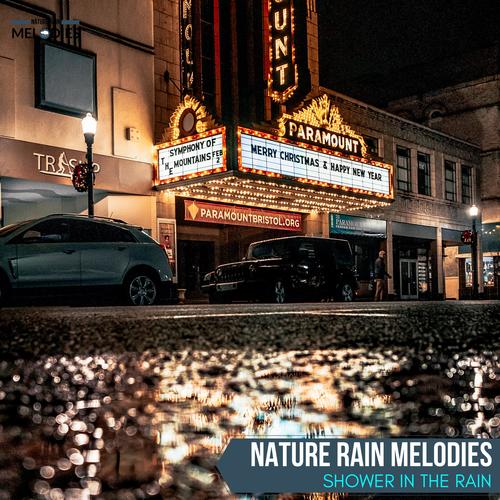 Nature Rain Melodies - Shower in The Rain