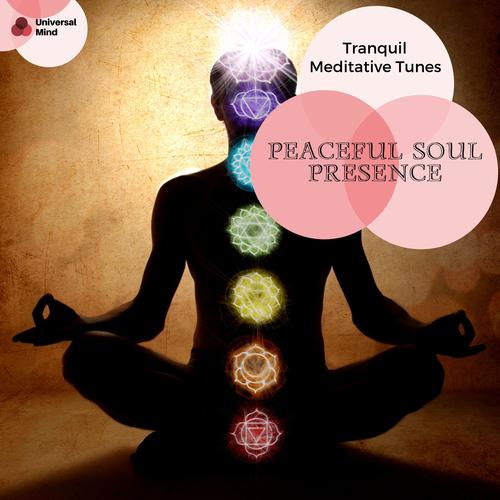 Peaceful Soul Presence - Tranquil Meditative Tunes