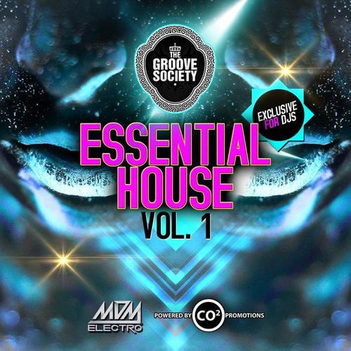 Essential House, Vol.1