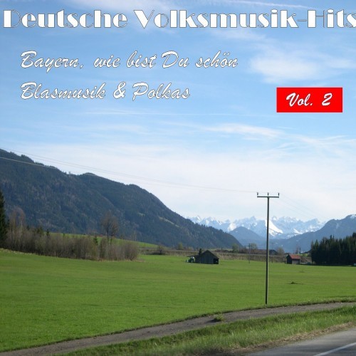 Deutsche Volksmusik Hits - Bayern, wie bist du schön: Blasmusik & Polkas, Vol. 2