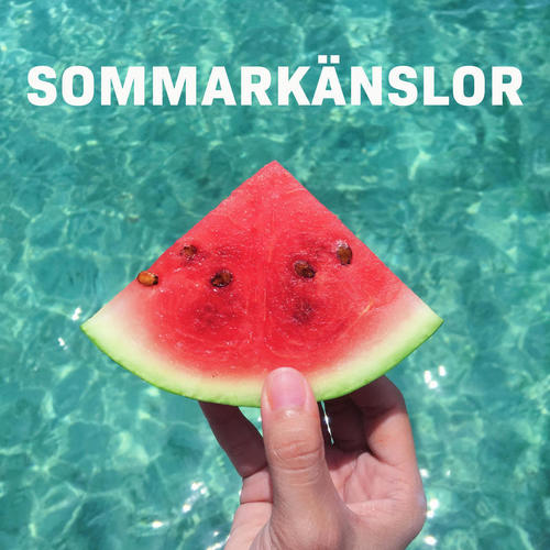 Sommarkänslor (Explicit)