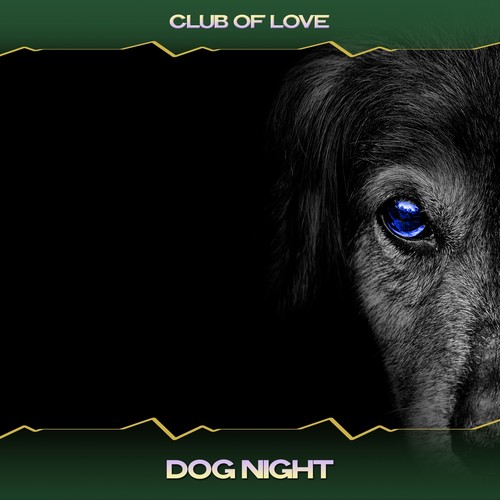 Dog Night