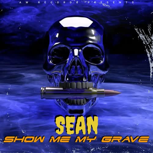 Show me my grave (Explicit)