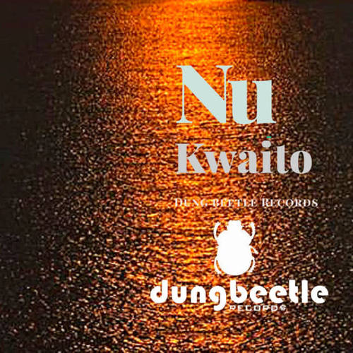 Nu-Kwaito